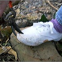  : Gallery : original : 2013 : 08 : San-d086.jpg