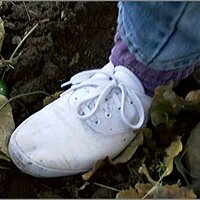  : Gallery : original : 2013 : 08 : San-d087.jpg