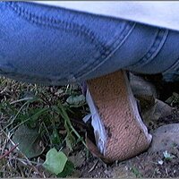  : Gallery : original : 2013 : 08 : San-d099.jpg