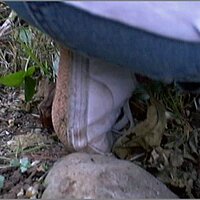  : Gallery : original : 2013 : 08 : San-d100.jpg