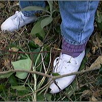  : Gallery : original : 2013 : 08 : San-d101.jpg