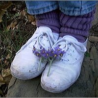  : Gallery : original : 2013 : 08 : San-d102.jpg