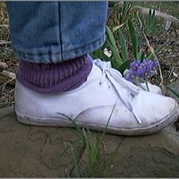  : Gallery : original : 2013 : 08 : San-d103.jpg