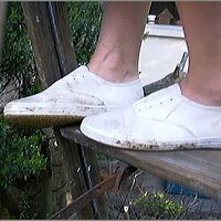  : Gallery : original : 2013 : 08 : San-d111.jpg