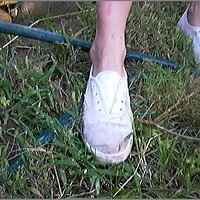  : Gallery : original : 2013 : 08 : San-d116.jpg