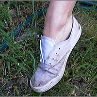  : Gallery : original : 2013 : 08 : San-d121.jpg