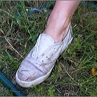  : Gallery : original : 2013 : 08 : San-d124.jpg