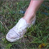  : Gallery : original : 2013 : 08 : San-d125.jpg