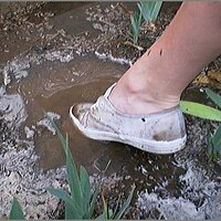  : Gallery : original : 2013 : 08 : San-d136.jpg