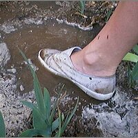  : Gallery : original : 2013 : 08 : San-d137.jpg