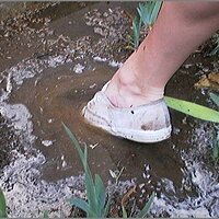  : Gallery : original : 2013 : 08 : San-d138.jpg