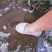  : Gallery : original : 2013 : 08 : San-d139.jpg