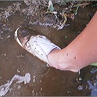  : Gallery : original : 2013 : 08 : San-d140.jpg