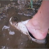  : Gallery : original : 2013 : 08 : San-d141.jpg