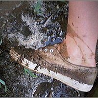  : Gallery : original : 2013 : 08 : San-d145.jpg