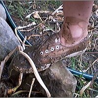  : Gallery : original : 2013 : 08 : San-d146.jpg