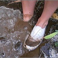  : Gallery : original : 2013 : 08 : San-d151.jpg