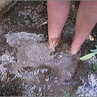  : Gallery : original : 2013 : 08 : San-d153.jpg