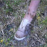  : Gallery : original : 2013 : 08 : San-d156.jpg