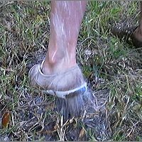  : Gallery : original : 2013 : 08 : San-d158.jpg