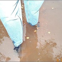  : Gallery : original : 2013 : 11 : 103975e7.jpg