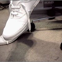  : Gallery : original : 2013 : 11 : 222.jpg