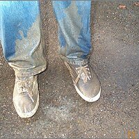  : Gallery : original : 2013 : 11 : 336e5b11.jpg