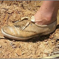  : Gallery : original : 2013 : 11 : 410a00a7.jpg