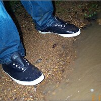  : Gallery : original : 2013 : 11 : 474b7ab5.jpg