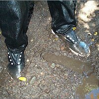  : Gallery : original : 2013 : 11 : 541a02da.jpg