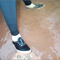  : Gallery : original : 2013 : 11 : 5cea2a7d.jpg