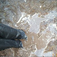  : Gallery : original : 2013 : 11 : 6d987aa.jpg