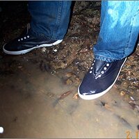  : Gallery : original : 2013 : 11 : 913d922b.jpg