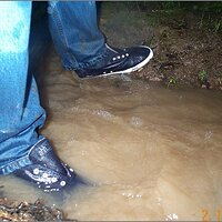  : Gallery : original : 2013 : 11 : 996e17cf.jpg