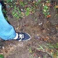  : Gallery : original : 2013 : 11 : 9b201ff7.jpg