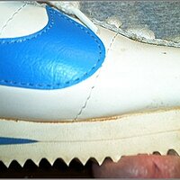  : Gallery : original : 2013 : 11 : IM000627.JPG