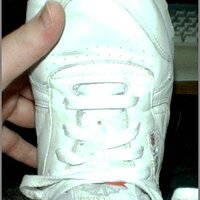  : Gallery : original : 2013 : 11 : IMG_0488.jpg