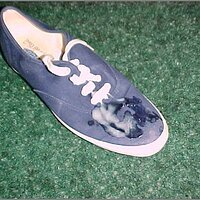  : Gallery : original : 2013 : 11 : Mvc-037s.jpg