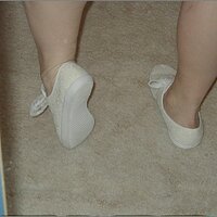  : Gallery : original : 2013 : 11 : PC090163.JPG