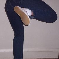  : Gallery : original : 2013 : 11 : PICT9419.jpg