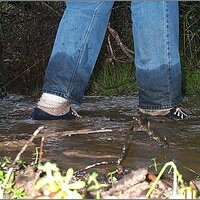  : Gallery : original : 2013 : 11 : c262366b.jpg