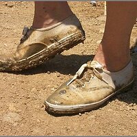  : Gallery : original : 2013 : 11 : c80d799.jpg