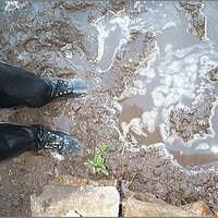  : Gallery : original : 2013 : 11 : d047e875.jpg