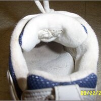  : Gallery : original : 2013 : 11 : del_0041.JPG