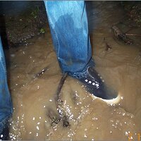  : Gallery : original : 2013 : 11 : e1a4c7e6.jpg