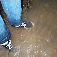  : Gallery : original : 2013 : 11 : ed1950d1.jpg