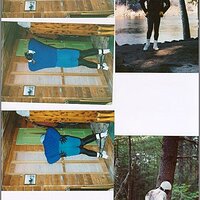  : Gallery : original : 2013 : 11 : new-183.jpg