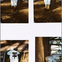  : Gallery : original : 2013 : 11 : new-186.jpg