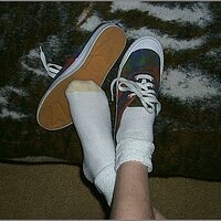  : Gallery : original : 2013 : 11 : p0001557.jpg