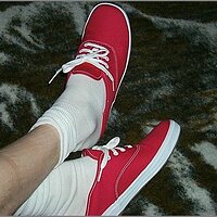  : Gallery : original : 2013 : 11 : p0001776.jpg